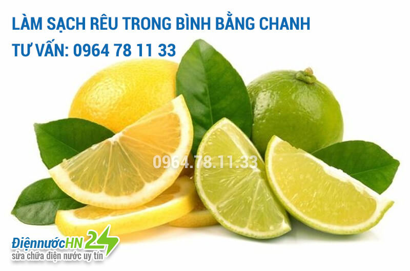 Làm sạch rêu trong bình bằng chanh Làm sạch rêu trong bình bằng chanh