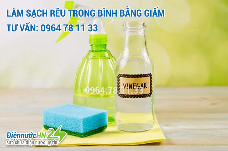 Cách làm sạch rêu trong bình nước có thể bạn chưa biết