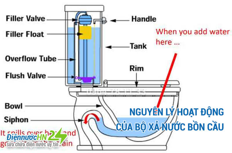 Nguyên lý hoạt động của bộ xả nước bồn cầu Nguyên lý hoạt động của bộ xả nước bồn cầu
