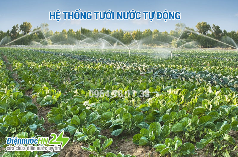 Hệ thống tưới nước tự động Hệ thống tưới nước tự động