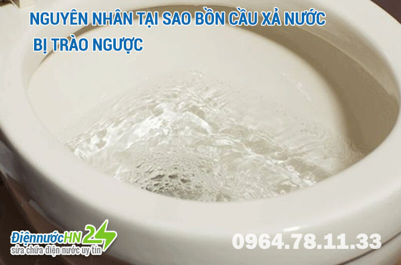 Nguyên nhân tại sao bồn cầu xả nước bị trào ngược Nguyên nhân tại sao bồn cầu xả nước bị trào ngược